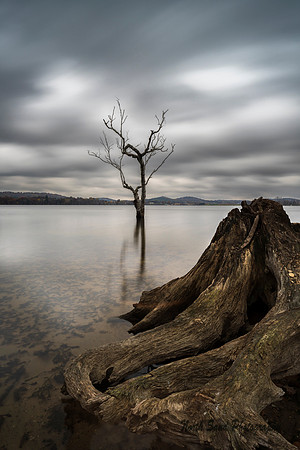 Stillness