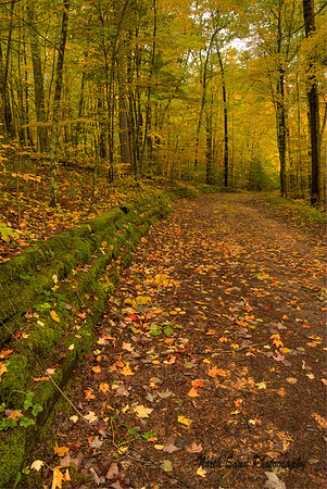 Autumn Stroll