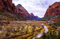 Emerald Pool Trail