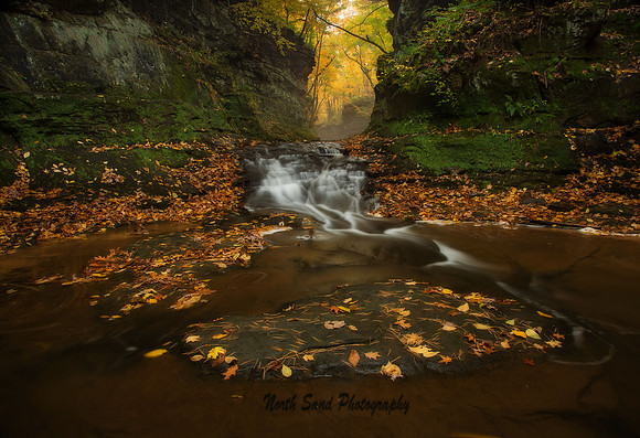 Colors of Fall