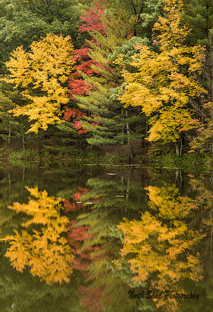 Fall Color Reflection