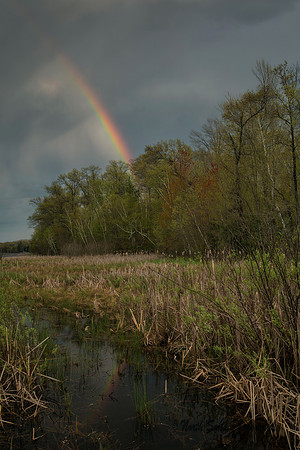 Over the Rainbow