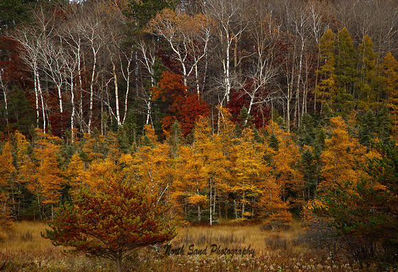 Fall Colors on Mallard Lake