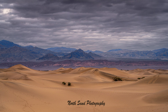 Mesquite Flats Sand Dunes 1