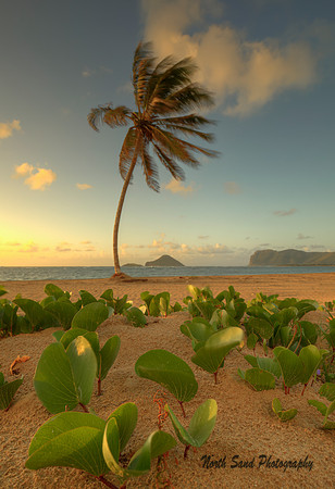 St. Lucia 1