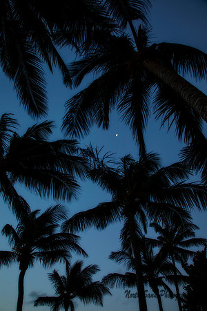 St Lucia Nightscape