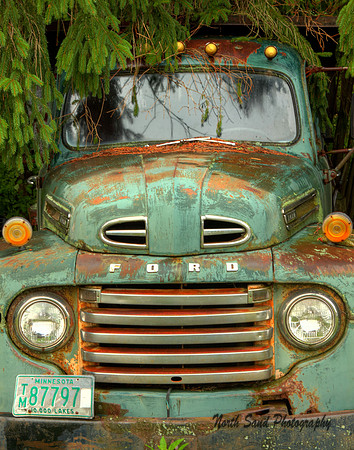 Ford Truck I