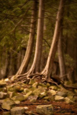 Peninsula State park