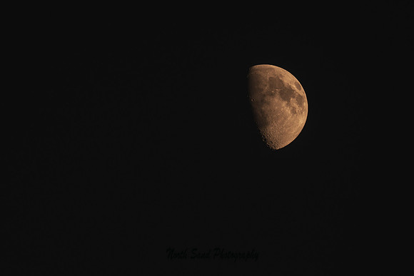 Moonshot
