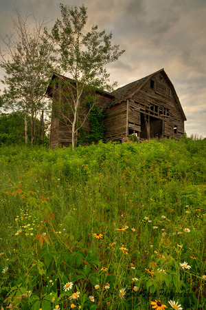 Wildflowers Barn