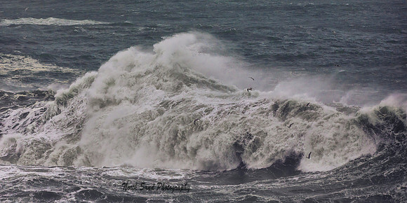 Big Waves 1