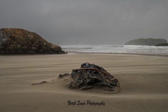 Blowing Sand @Devil's Kitchen