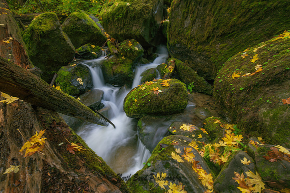 Coquille River 1