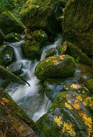 Coquille River 2