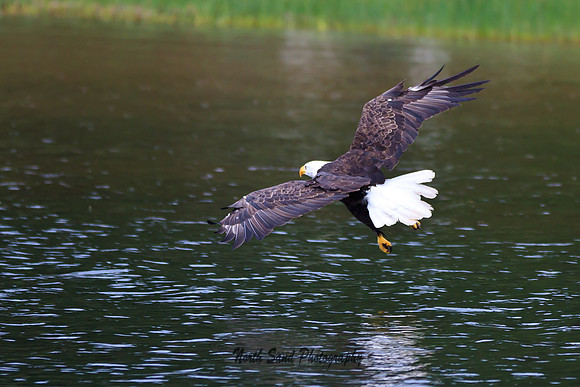 Fishing