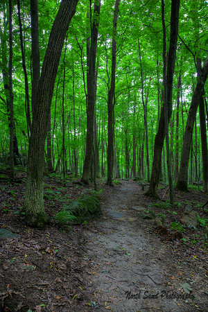 Gibralter path 2