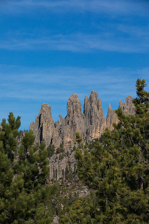Needles @Custer State Park 1