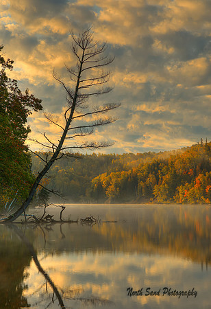Autumn Morning