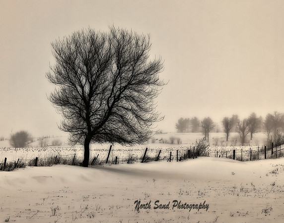 Winter Glow 2