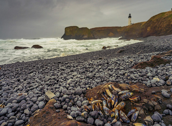 Yaquina Head Lighthouse