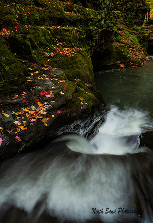 Pewits Nest 2