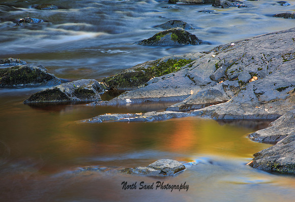 Liquid Autumn 3