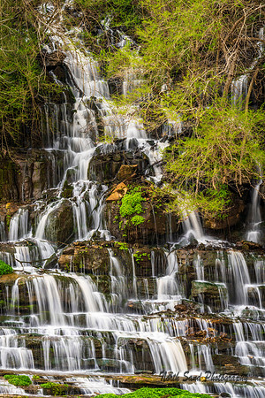 Twin Falls