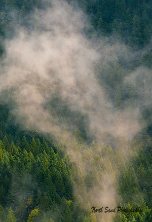 Rogue River-Siskiyou National Forest 3
