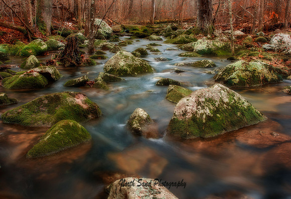 Baxter's Hollow
