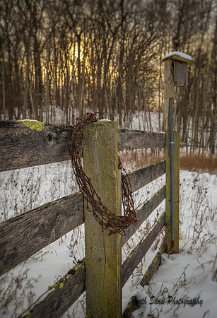 Fence 1