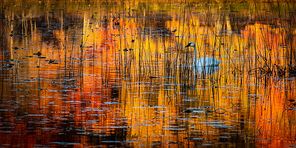 Autumn Serenity   Webster, WI