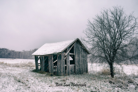 Winter Shack