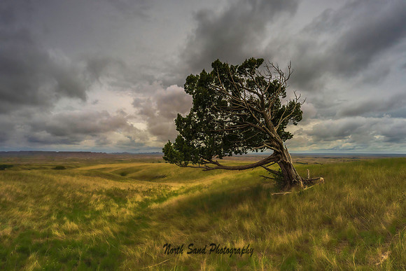 Sage Creek I