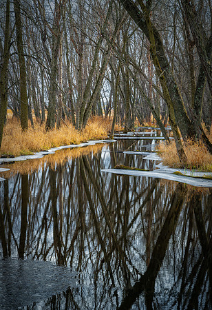 Winter Stream