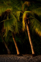 Costa Rica 6