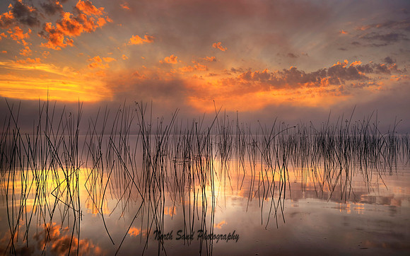 Pastel Morning