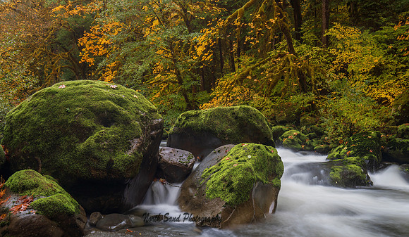 Rogue River-Siskiyou National Forest 4