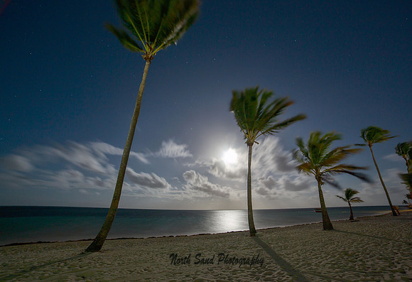 Night on the Beach 1