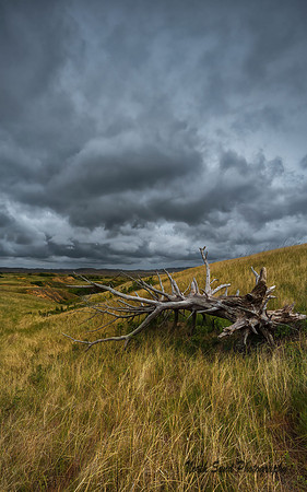 Sage Creek II