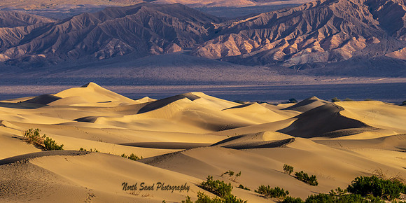 Mesquite Flats Sand Dunes 3