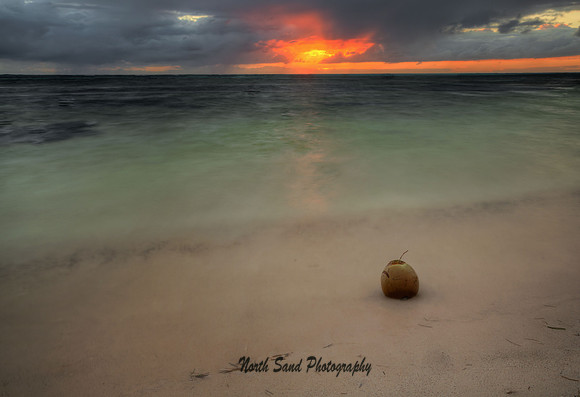 Coconut Sunrise