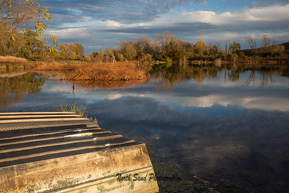 Lodi Marsh 1