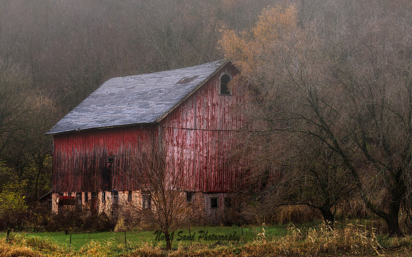 Winter Fog 2024