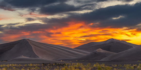 Big Dunes 1