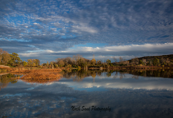 Lodi Marsh 2