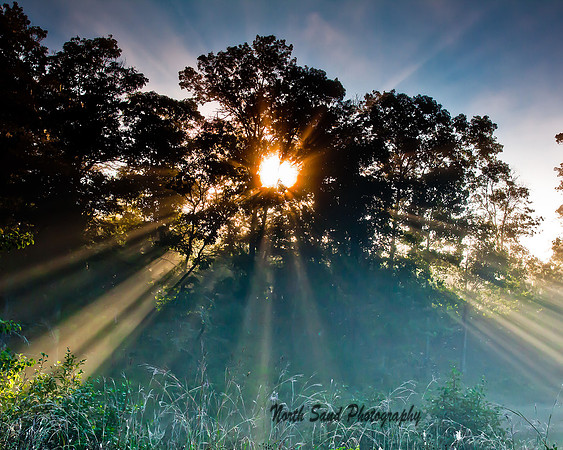 Sunbeams