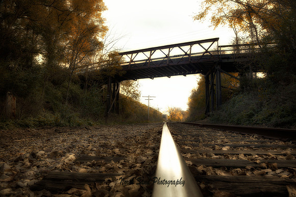 Rail bridge 1
