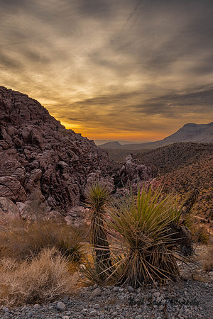 Red Rock Canyon