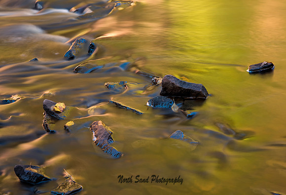 Liquid Autumn 5