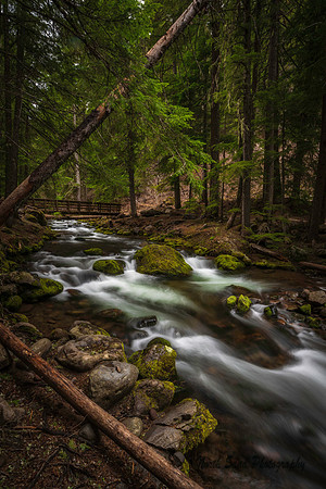 Cold Creek- Mount Hood